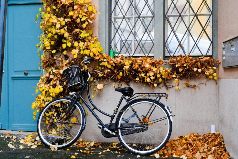 Parked bicycle against wall with vibrant autumn leaves and window grilles.